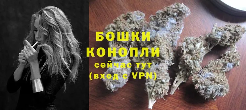 Конопля SATIVA & INDICA  Новоаннинский 